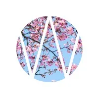 Wunderman South Africa