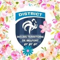 DISTRICT DE FOOTBALL DOUBS TERRITOIRE DE BELFORT