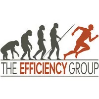 The Efficiency Group LLC