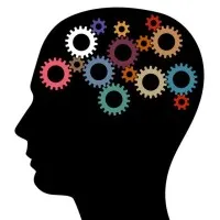 ShivPrema Project Consultant