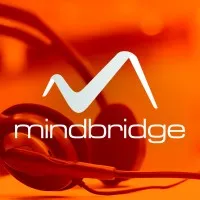Mindbridge Private Limited