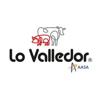 Lo Valledor AASA