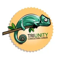Triunity Consultoria Jr