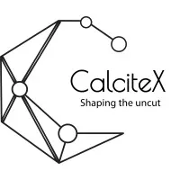 CalciteX cybernetics