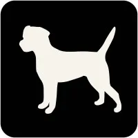 Phosphor Essence (Phosphor Ltd)