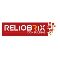 Reliobrix Consulting Pvt. Ltd.