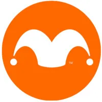 Motley Fool Asset Management