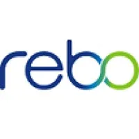 Rebo Lighting & Electronics, LLC