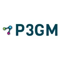 P3 Global Management Inc.