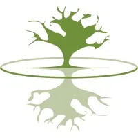 DIAMOND HEAD CONSULTING LIMITED