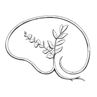 MindRoots Counseling