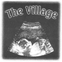 The Village Consulting LLC