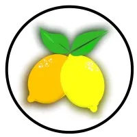 Meyer Lucas Real Estate Team at COMPASS Florida LLC