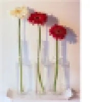 Domestic & Office Cleaning Services