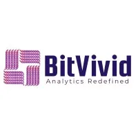 Bitvivid Solutions