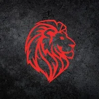 Lion & Lion Digital Agency