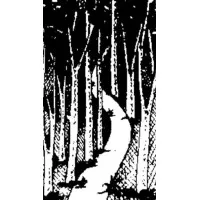 Society for Education, Action and Research in Community Health (SEARCH), Gadchiroli