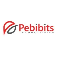 Pebibits Technologies