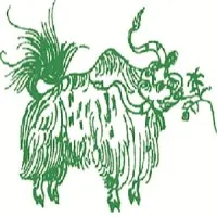 Tushita Travels Pvt Ltd