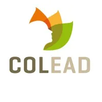COLEAD.link