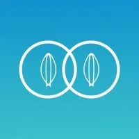 Capsa Technology Inc