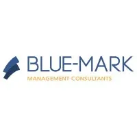 Blue-Mark Management Consultants