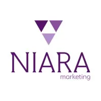 Niara Consultoria Especializada em Marketing Digital