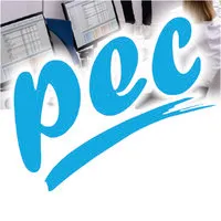 Progressive Expert Consulting