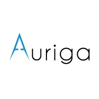 Auriga IT
