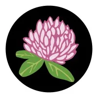 Abortion Fund Of Ohio