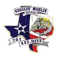 Gigglin Marlin Dive & Swim