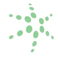 ناوشگران عصر پارسه