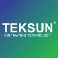 Teksun Inc