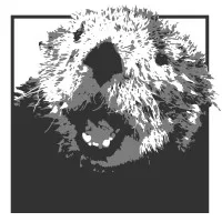 NexLab | Impact Solutions