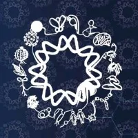 IBt - Instituto de Biotecnología UNAM