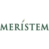 Meristem Nigeria