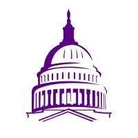 Institute for Youth in Policy