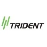 Trident International P Ltd
