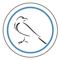 Corvus Data Consulting