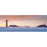 Avalon Global Asset Management, LLC