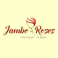 Jambo Roses