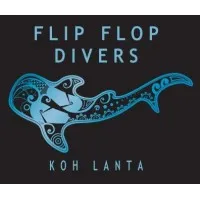 Flip Flop Divers