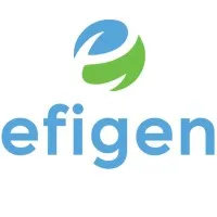 Efigen Renewable Energy