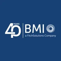 BMI Country Risk & Industry Analysis