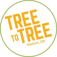 Tree To Tree Adventure Park