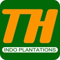 PT. TH Indo Plantations