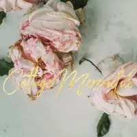 Cottage Mercantile LLC