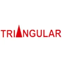 Triangular Infosolutions