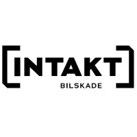 Intakt Bilskade