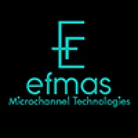 EFMAS Engineering